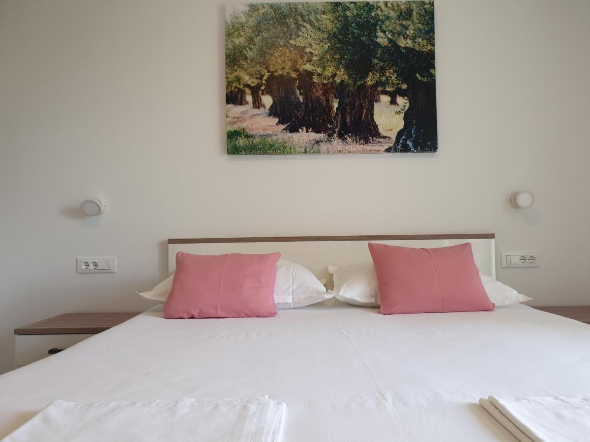 Guesthouse Dominovic Brela Ngoại thất bức ảnh